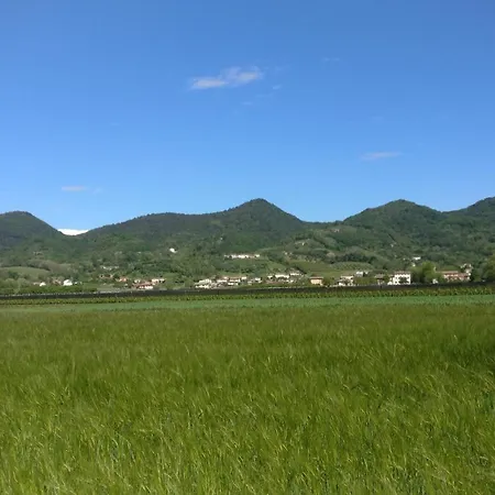 Pensjonat Oleaclub Locazione Turistica