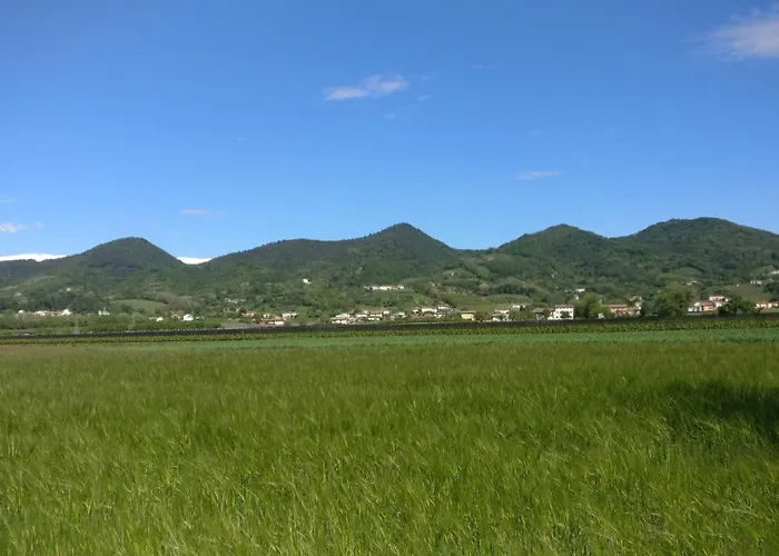 Affittacamere Oleaclub Locazione Turistica
